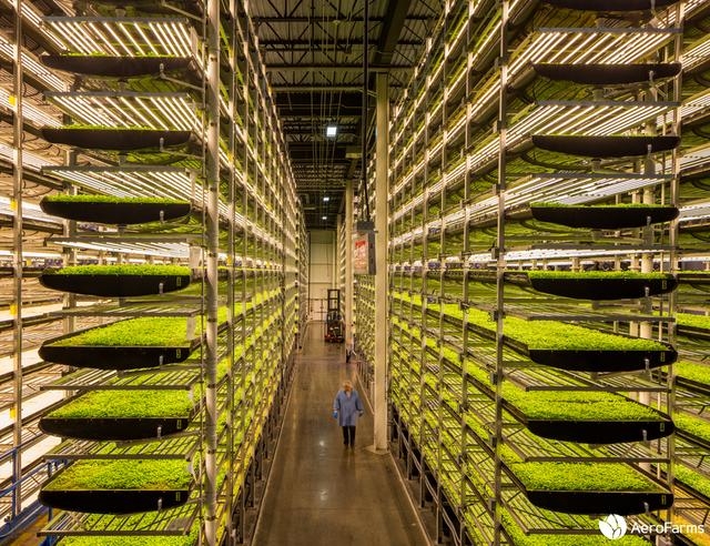 Aerofarms raised US $100 million and vertical agriculture became the “new favorite” of capital-SUNLIGHT BLOWER,Centrifugal Fans, Inline Fans,Motors,Backward curved centrifugal fans ,Forward curved centrifugal fans ,inlet fans, EC fans